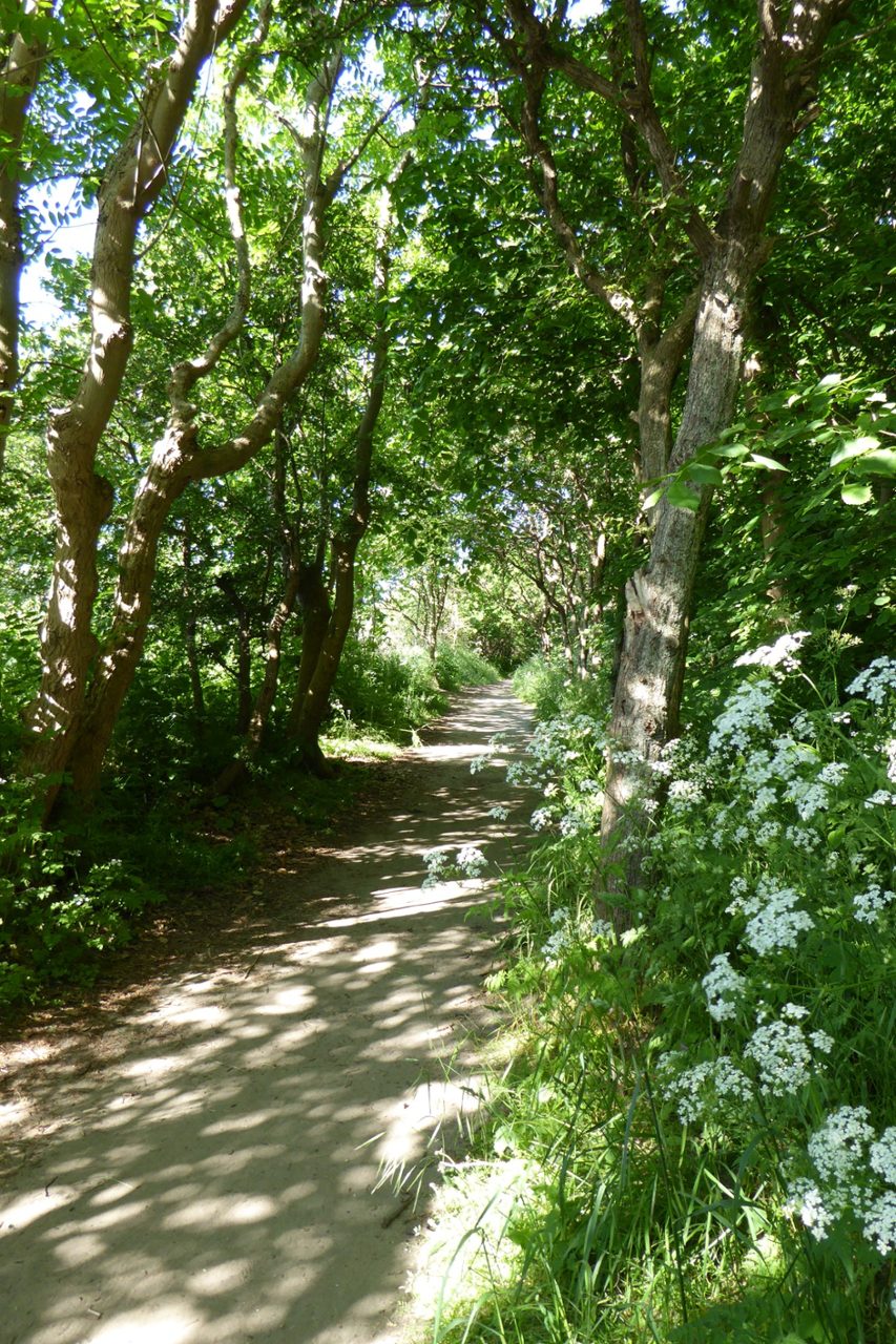 Spaziergang oberhalb der Steilküste