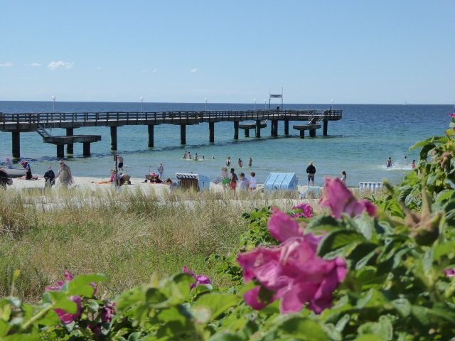 Die Seebrücke